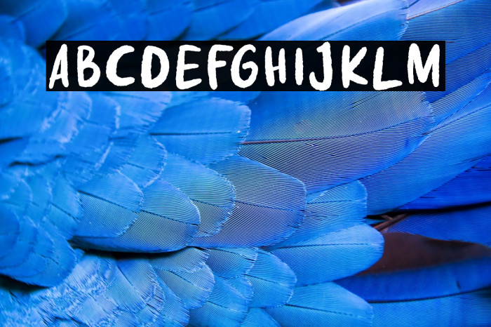 Fake Nice Demo Version Example 1