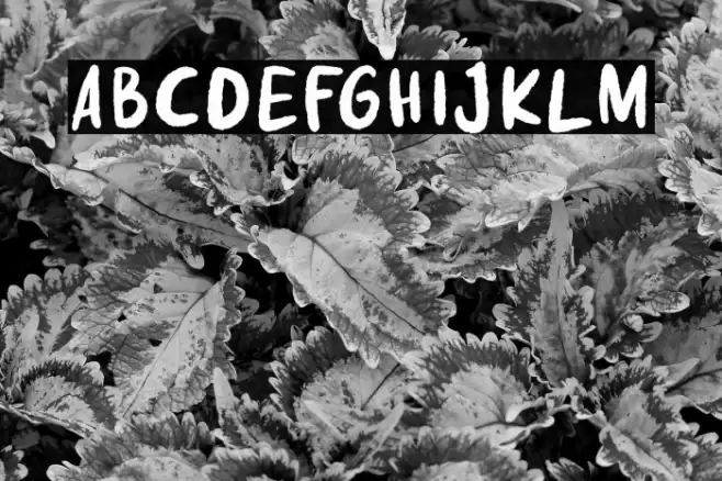 Fake Nice Demo Version Font examples