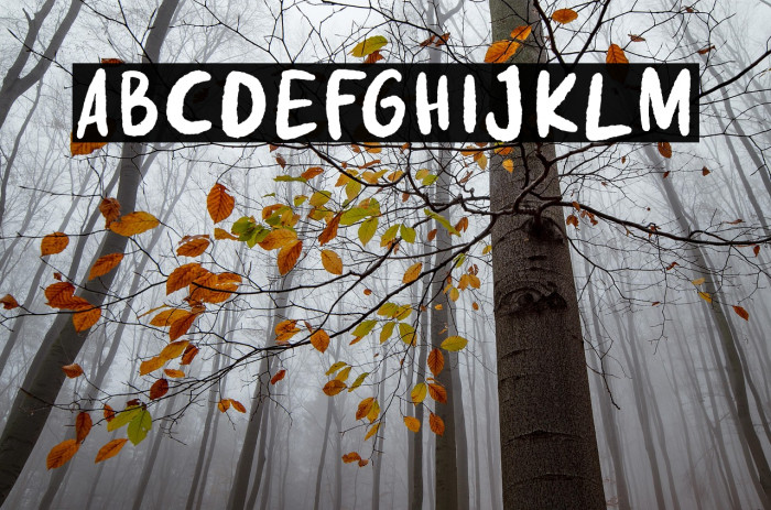 Fake Nice Demo Version Example 3