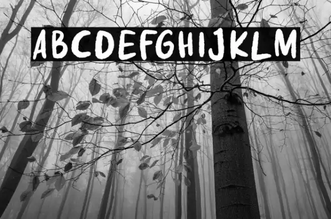 Fake Nice Demo Version Font examples