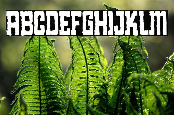 Fake Red Nation Example 1