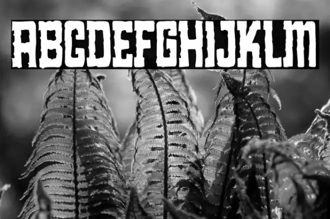 Fake Red Nation Polices examples