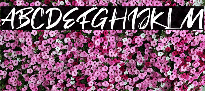 Fake Serif Font examples