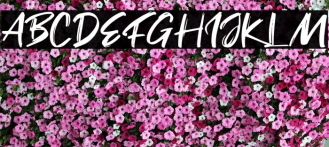 Fake Serif Example 1