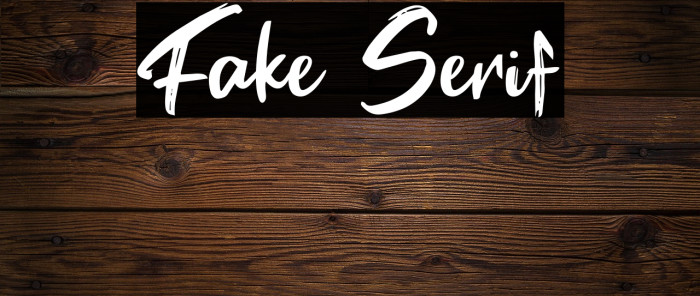 Fake Serif Font examples