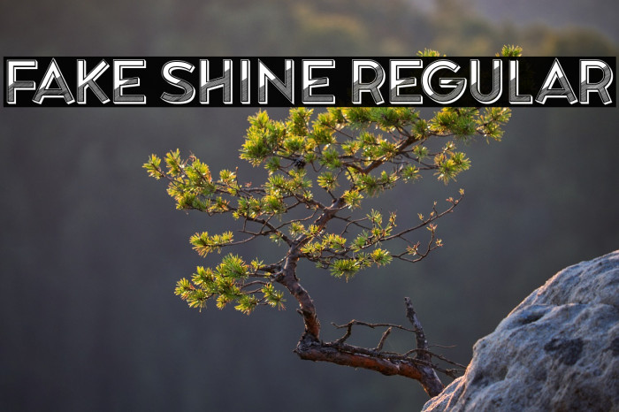 Fake Shine Regular Example 3