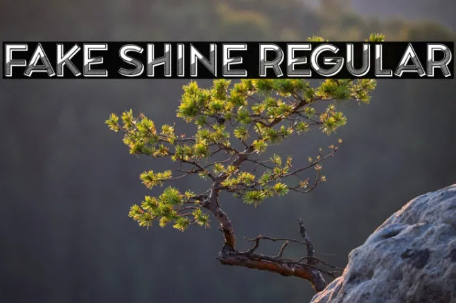 Fake Shine Regular Example 3