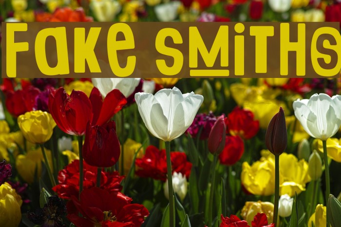 Fake Smiths Font examples