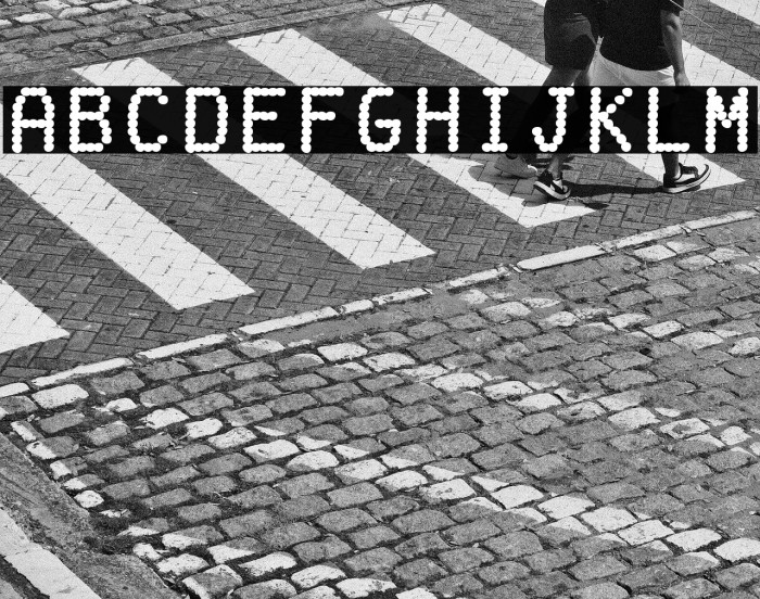 FakeReceipt-Regular Example 1