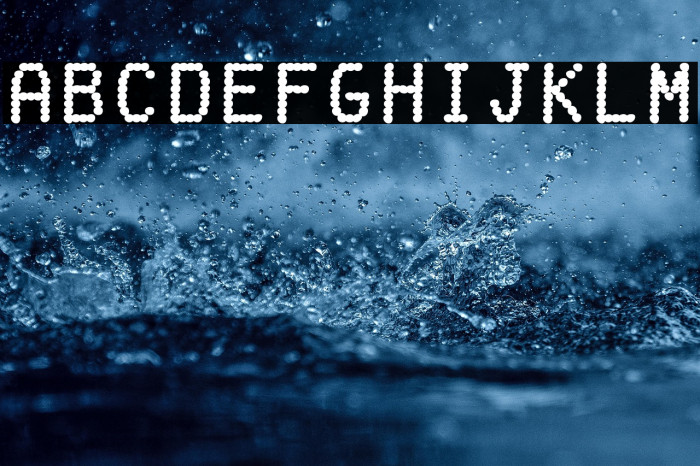 FakeReceipt-Regular Example 2