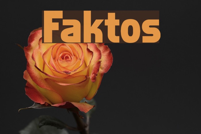 Faktos Example 3