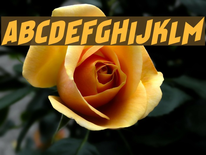 Faktosas Slanted Normal Example 1