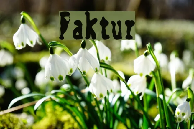 Faktur Example 1