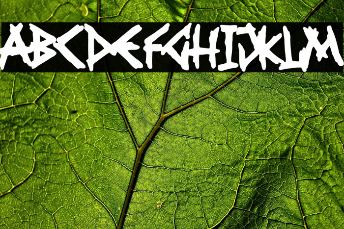 Falange Punk Example 1