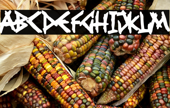 Falange Punk Example 2