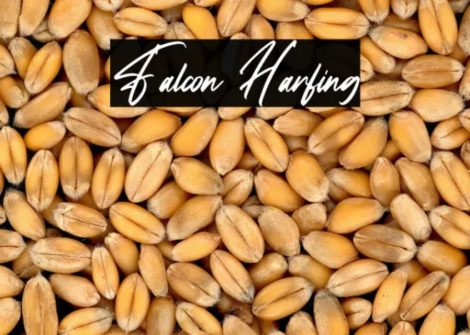 Falcon Harfing Example 3