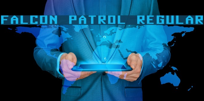 Falcon Patrol Regular Example 1