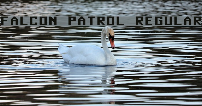 Falcon Patrol Regular Example 2