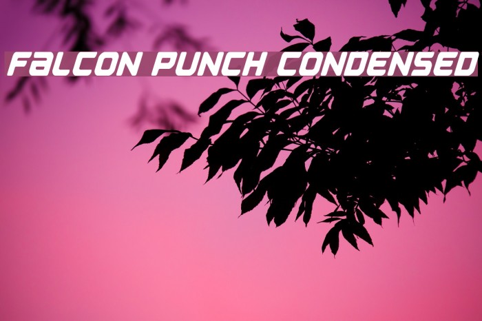 Falcon Punch Condensed Font examples