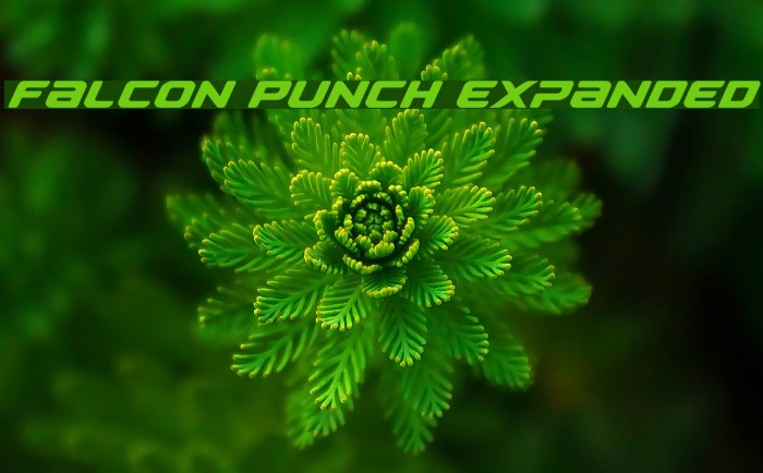 Falcon Punch Expanded Font examples