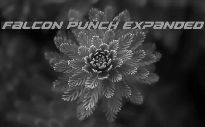 Falcon Punch Expanded Font examples