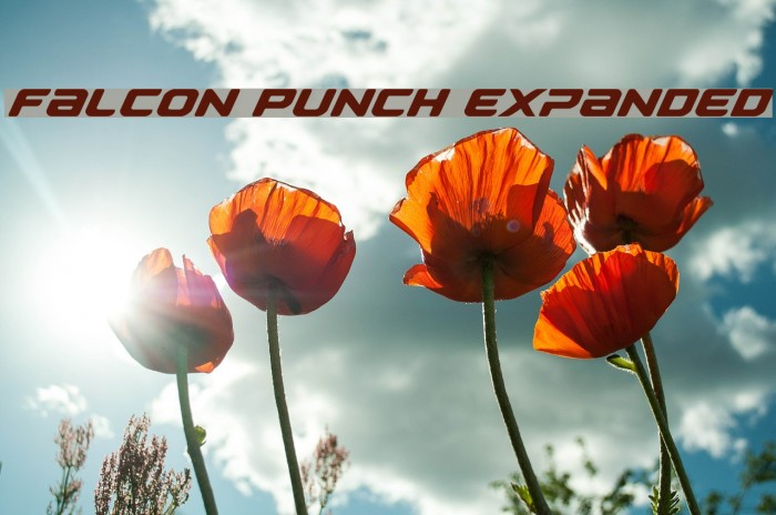 Falcon Punch Expanded Font examples