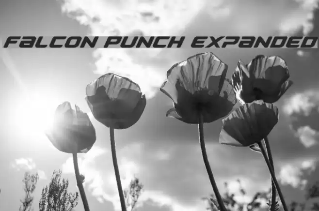 Falcon Punch Expanded Font examples