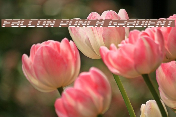 Falcon Punch Gradient Font examples