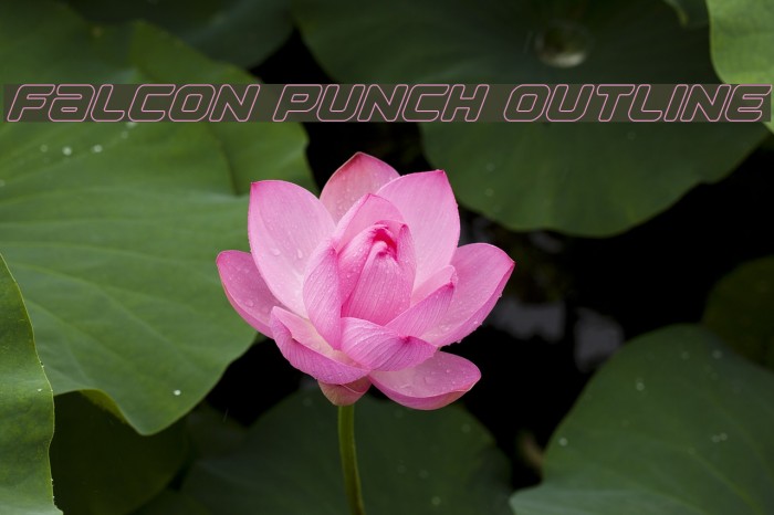 Falcon Punch Outline Font examples
