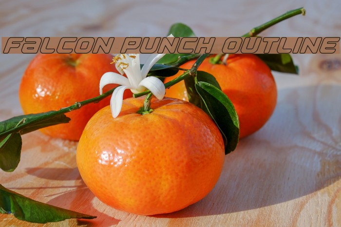 Falcon Punch Outline Font examples