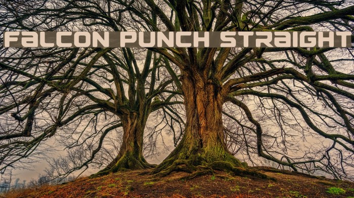 Falcon Punch Straight Font examples