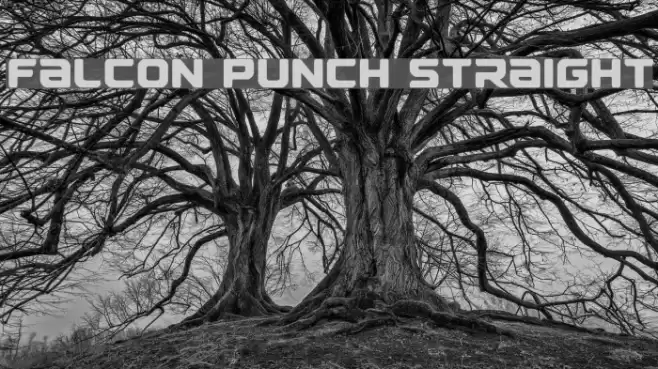Falcon Punch Straight フォント examples