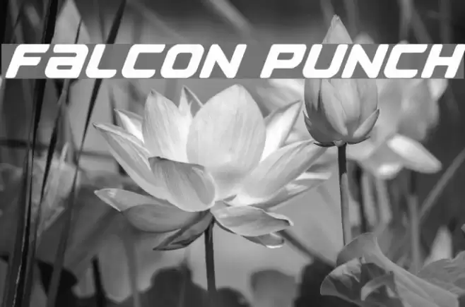Falcon Punch Font examples