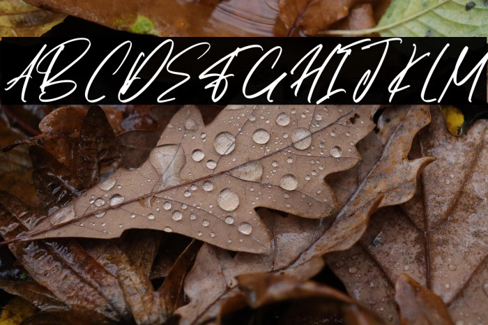 FalconHarfing-Regular Example 1