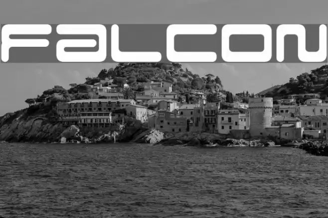 Falcon フォント examples