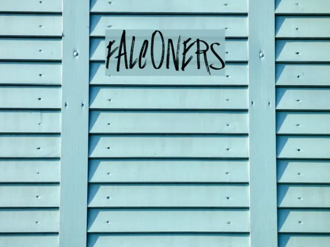 Falconers Example 3