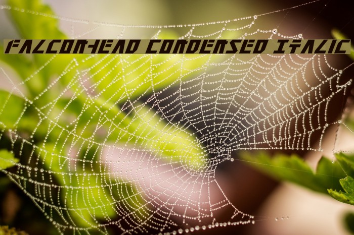 Falconhead Condensed Italic Font examples