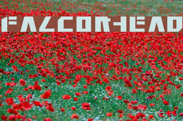 Falconhead Font examples