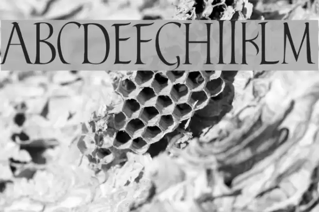 Falconis フォント examples