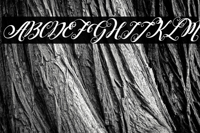 Falencia Italic Example 1