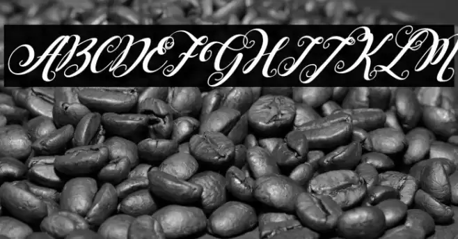 Falencia Italic Font examples