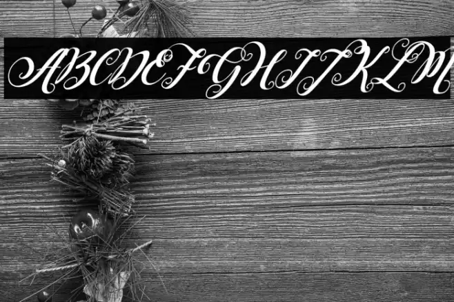 Falencia Italic Font examples