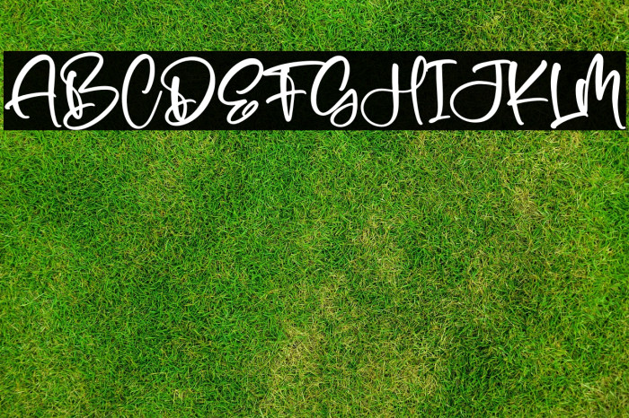 Falermost Signateria Example 2