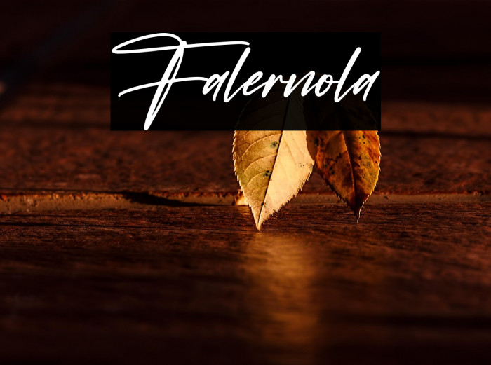 Falernola Example 3