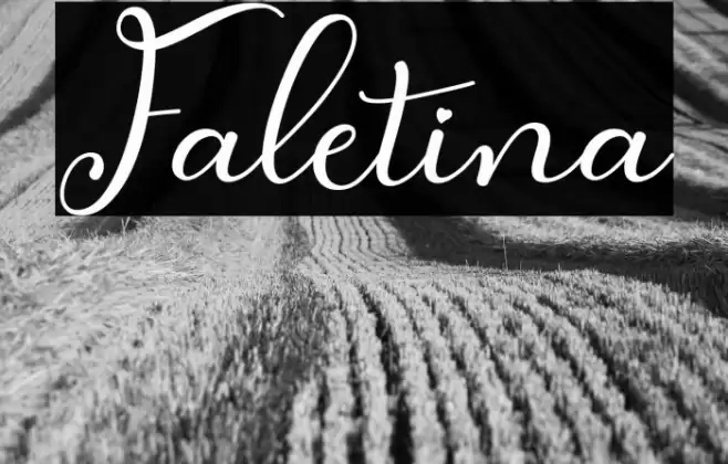 Faletina Font examples