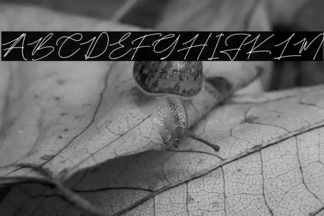 Falidasi Triasie फ़ॉन्ट examples