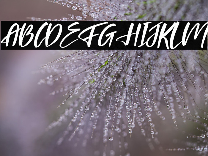 Falinlove Italic Example 1