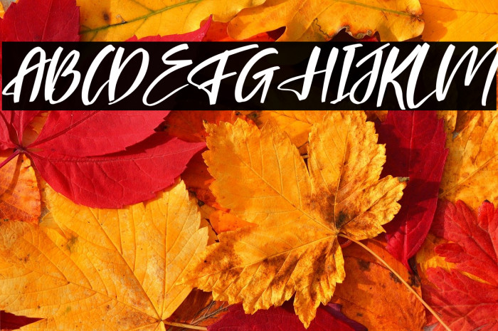 Falinlove Italic Example 3