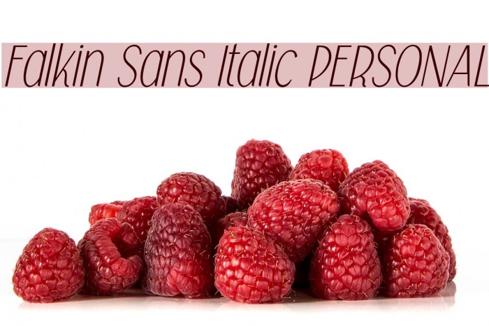 Falkin Sans Italic PERSONAL Font examples