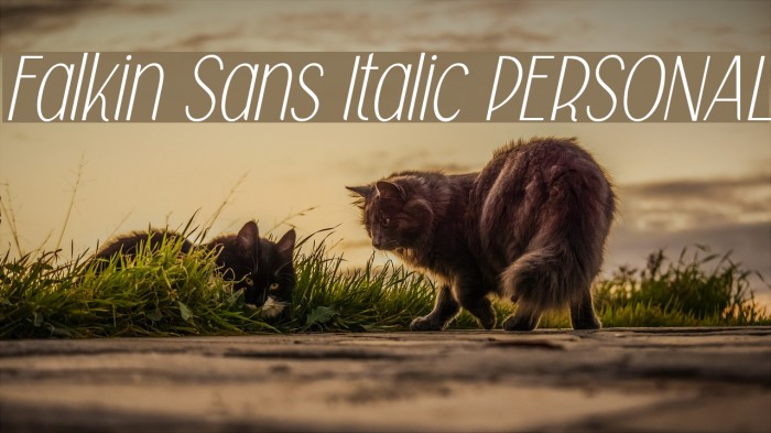 Falkin Sans Italic PERSONAL Font examples